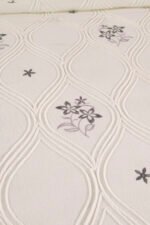 Dreams Pike Takımı - Görsel 2